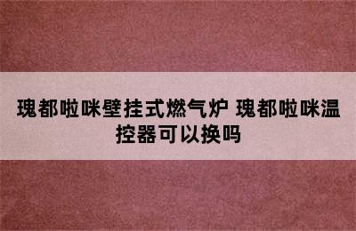 瑰都啦咪壁挂式燃气炉 瑰都啦咪温控器可以换吗